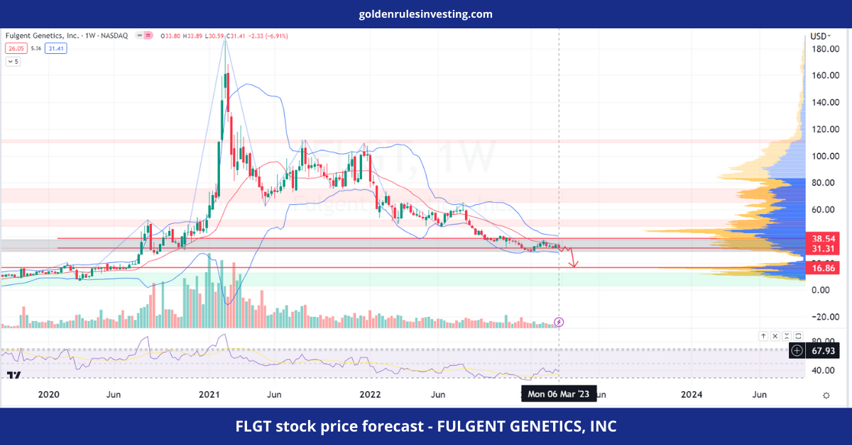 FLGT stock price forecast - FULGENT GENETICS, INC - goldenrulesinvesting.com